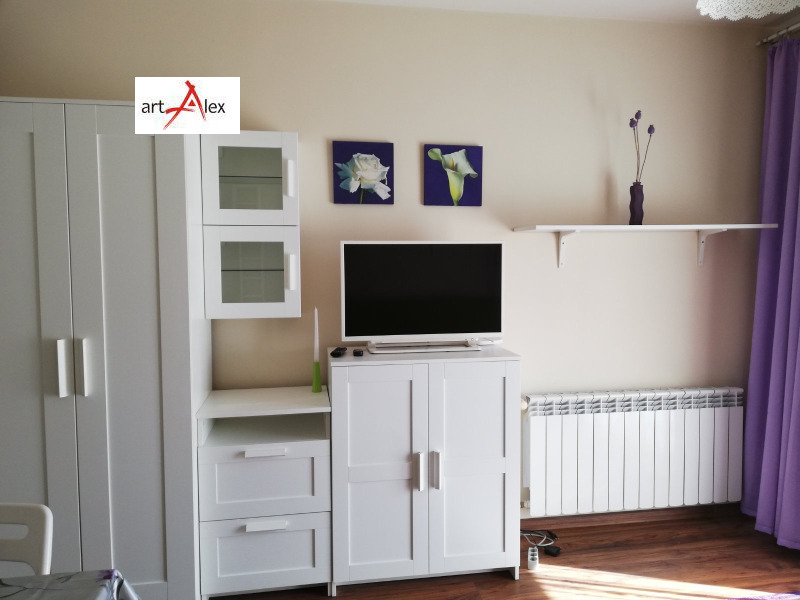 Дава под наем 1-СТАЕН, гр. София, Лагера, снимка 15 - Апартаменти - 52796416