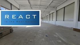 ����� ���� ��� ���� �����,���� �����, �. ��������