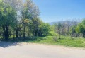 Дава под наем ЗЕМЕДЕЛСКА ЗЕМЯ, с. Дворище, област Кюстендил, снимка 4