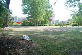 ���� ��� ���� 2-����� | Imot.bg � ����� ������ 16