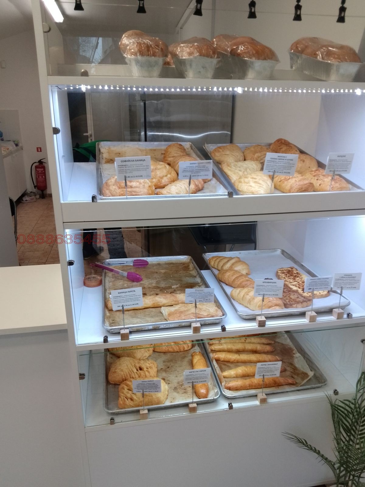 Дава под наем ЗАВЕДЕНИЕ, гр. Варна, Център, снимка 3 - Заведения - 53634649