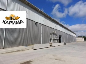 ������ ���� ��� ���� �����