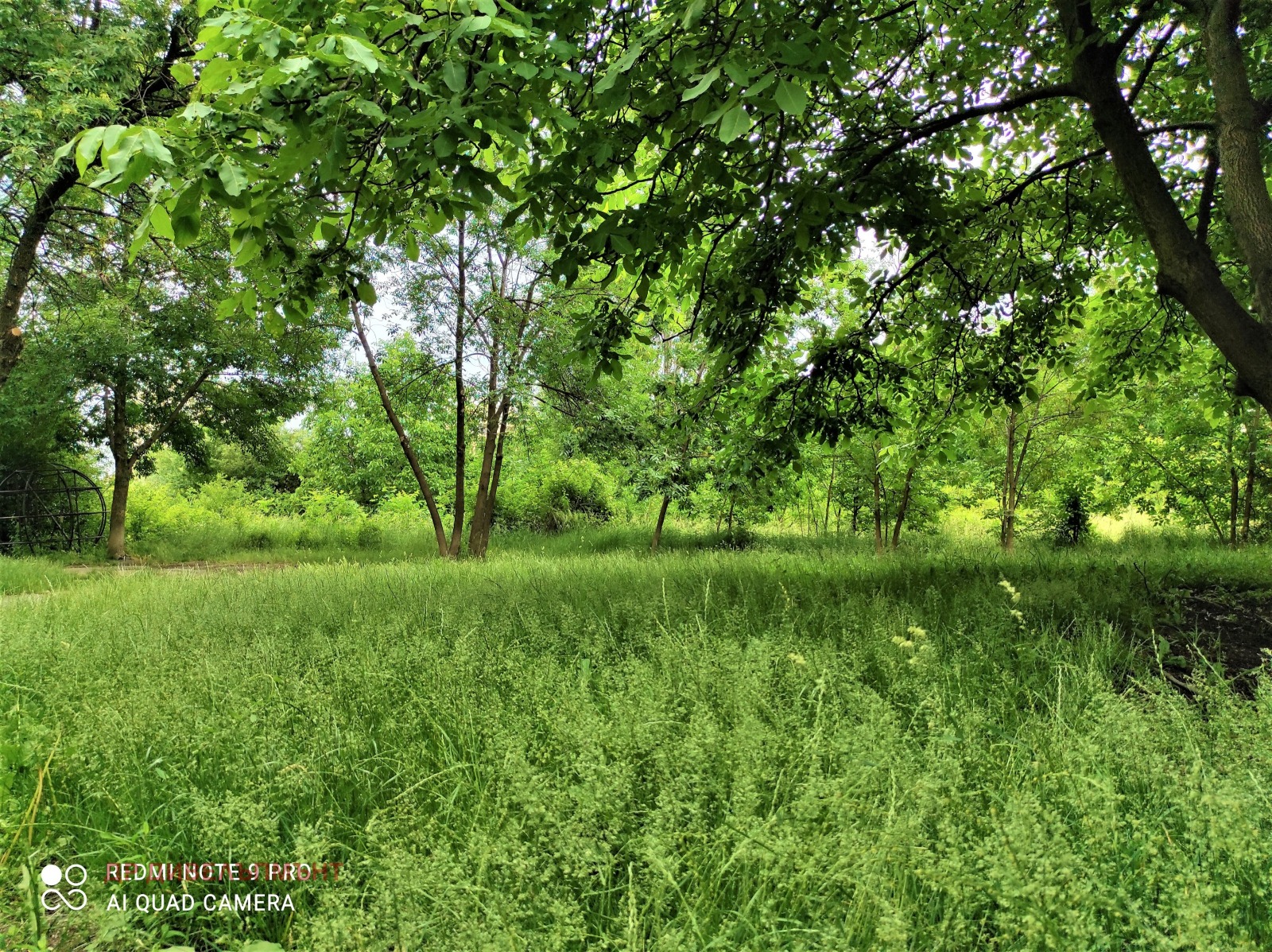 ���� ��� ���� 2-����� | Imot.bg � ����������� 15