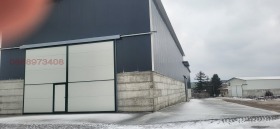 ����� ���� ��� ���� �����,���� ����, �.�. ��������