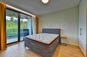 1 chambre Boyana, Sofia 14