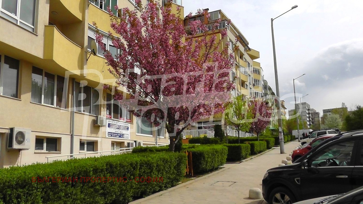 ���� ��� ���� 3-����� | Imot.bg � ����������� 1