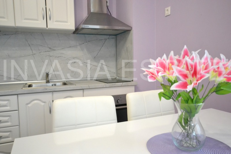 Издаје се  1 спаваћа соба Софија , Карпузица , 59 м2 | 69006199