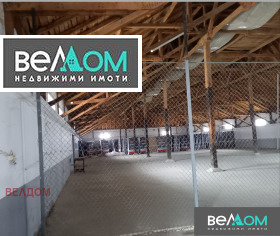 ����� ���� ��� ���� �����,���� �����, ������� ���������� ����