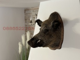 ���� ��� ���� ����� ������ | Imot.bg � ����� ������ 8