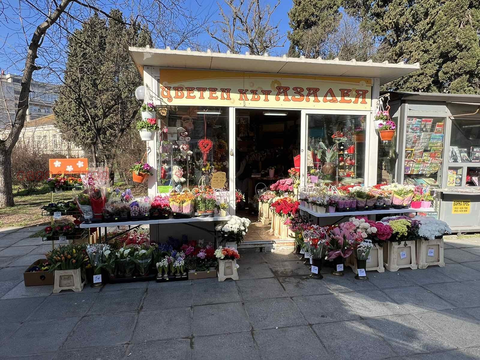 Дава под наем МАГАЗИН, гр. Варна, Център