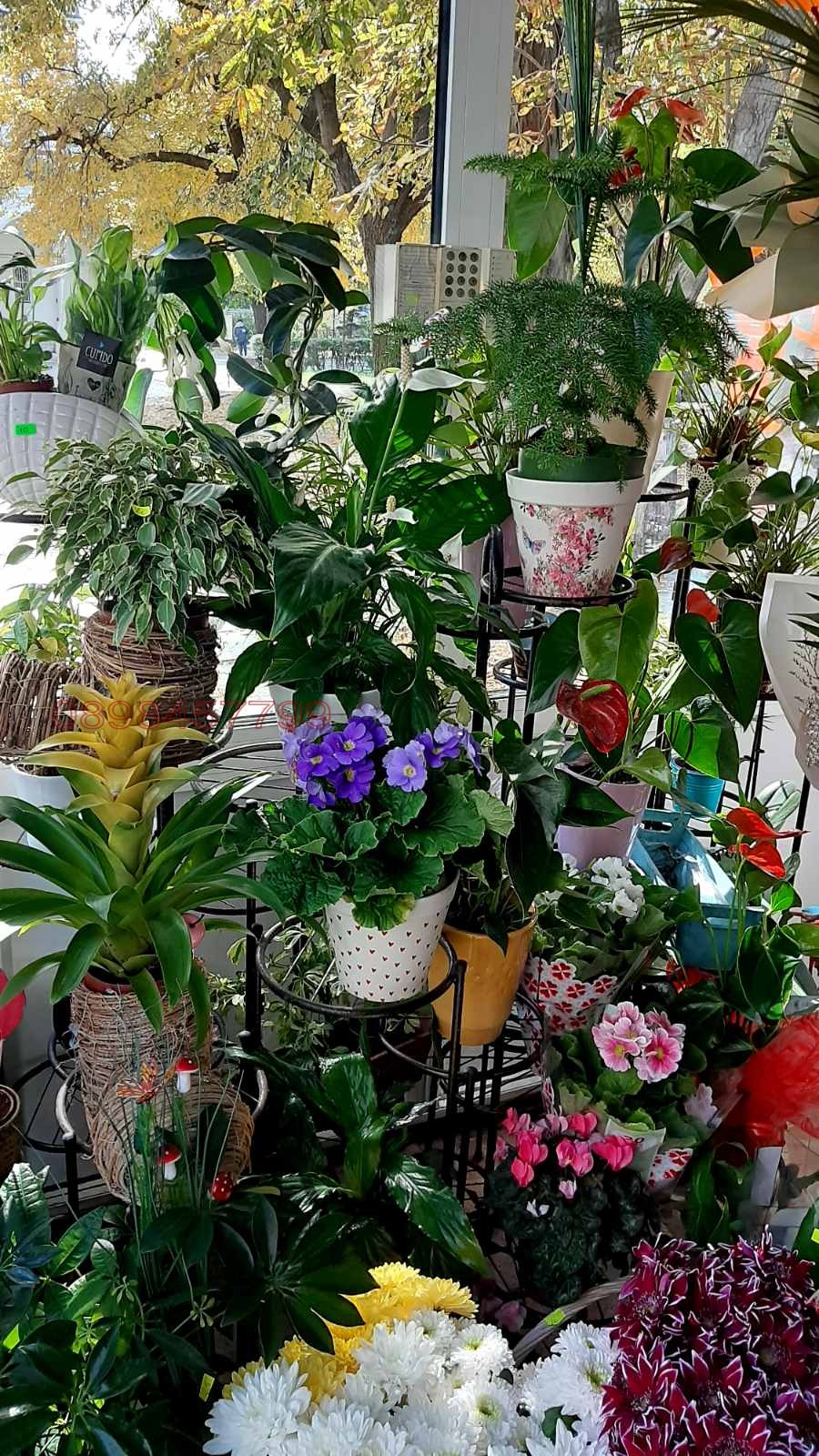 Дава под наем МАГАЗИН, гр. Варна, Център, снимка 7 - Магазини - 54279166