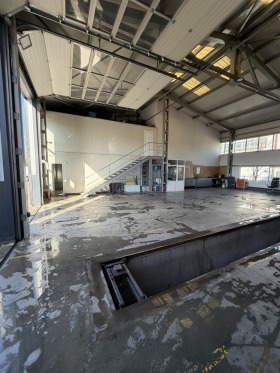 ����� ���� ��� ���� ����������,���� �����, �������