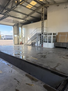 ����� ���� ��� ���� ����������,���� �����, �������