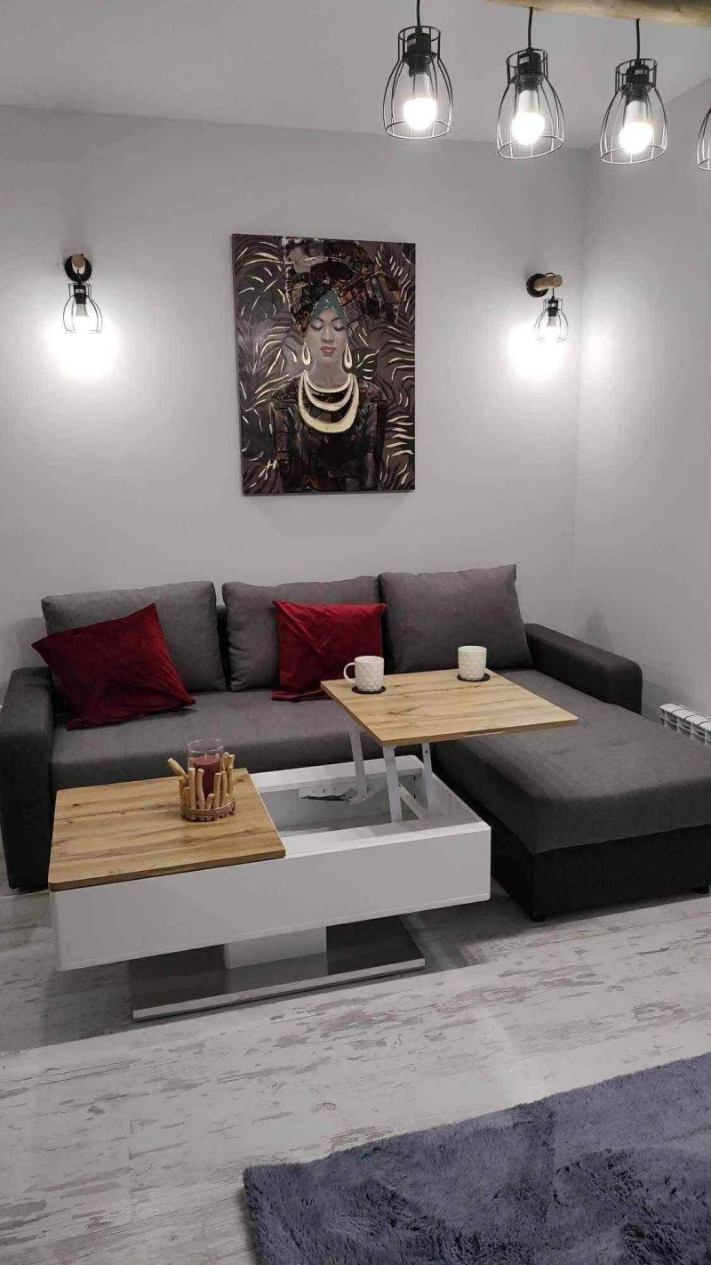 Vuokrattavana  Studio Sofia , Studentski grad , 40 neliömetriä | 62561136 - kuva [2]