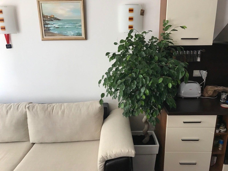 En renta  1 dormitorio Sofia , Manastirski livadi , 65 metros cuadrados | 67901427 - imagen [2]