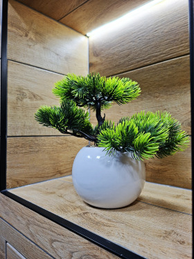 ���� ��� ���� 1-����� | Imot.bg � ����� ������ 12