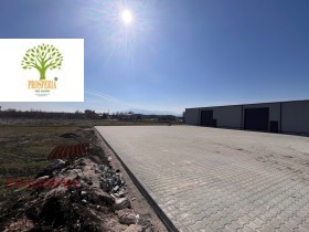 ����� ���� ��� ���� �����,���� �����, ����� 1