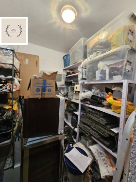 ������ ���� ��� ���� �����