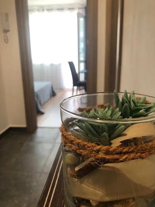 Дава под наем  2-стаен град Варна , Спортна зала , 60 кв.м | 77406570 - изображение [7]