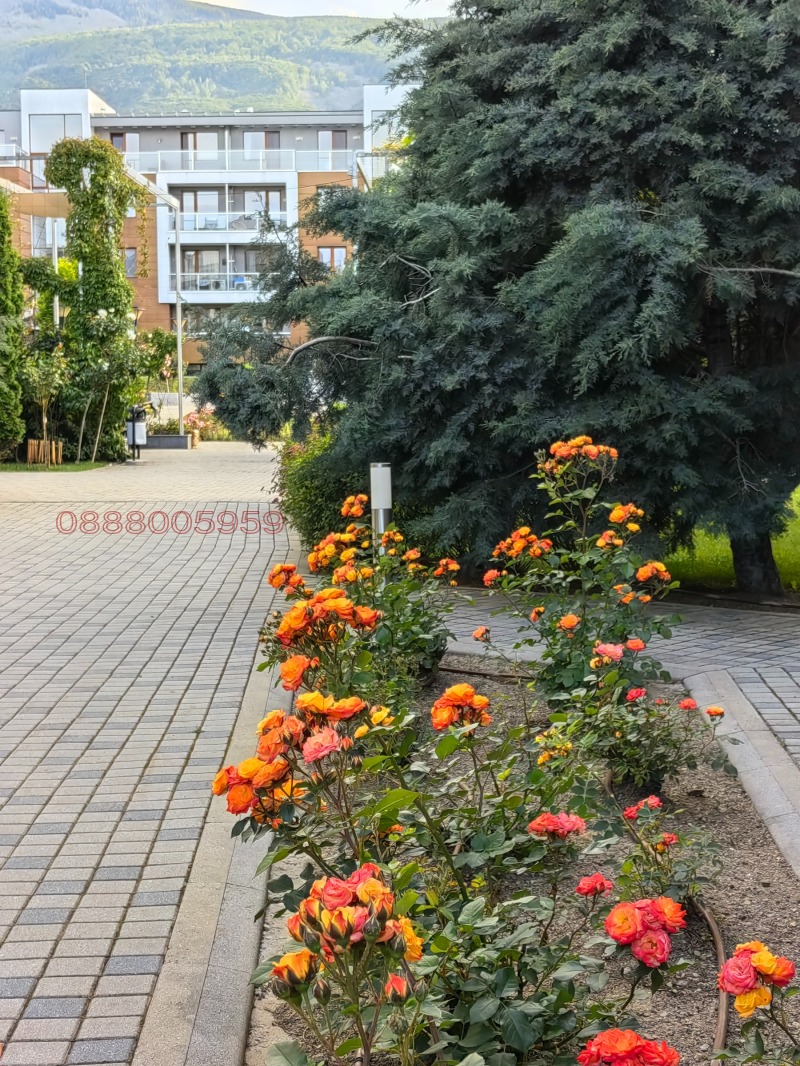 Дава под наем  3-стаен град София , Манастирски ливади , 105 кв.м | 35826108 - изображение [2]