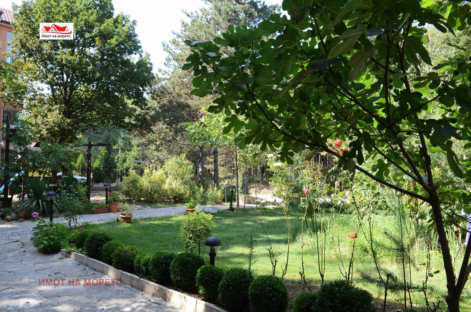 ���� ��� ���� ����� | Imot.bg � ����������� 14