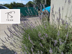 ���� ��� ���� 2-����� | Imot.bg � ����� ������ 11