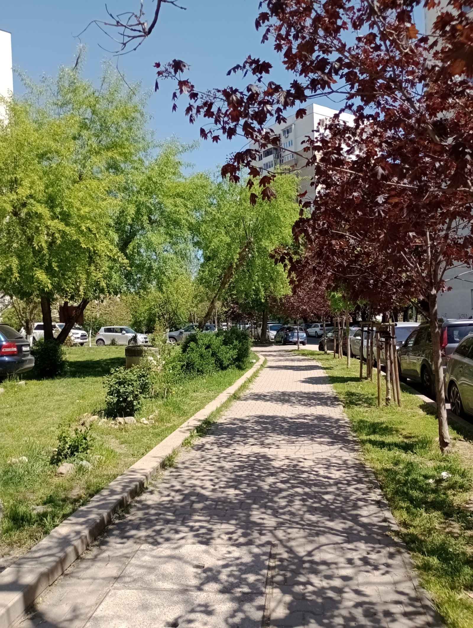 ���� ��� ���� 3-����� | Imot.bg � ����������� 8