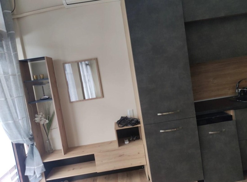 K pronájmu  Studio Sofia , Vitoša , 56 m2 | 68109476 - obraz [4]