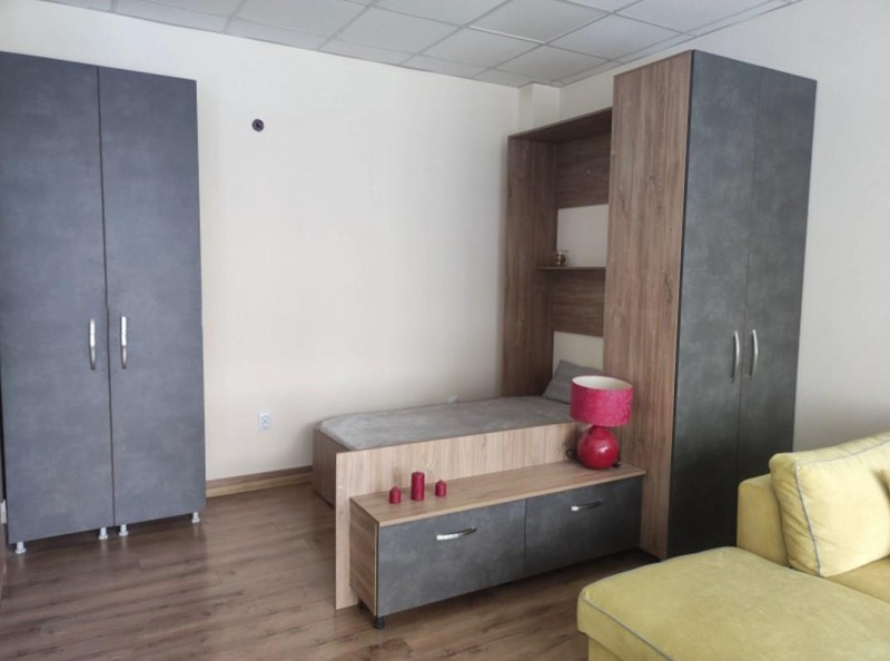 K pronájmu  Studio Sofia , Vitoša , 56 m2 | 68109476 - obraz [2]