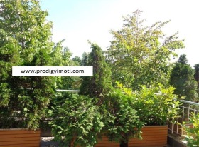 ���� ��� ���� 2-����� | Imot.bg � ����� ������ 5