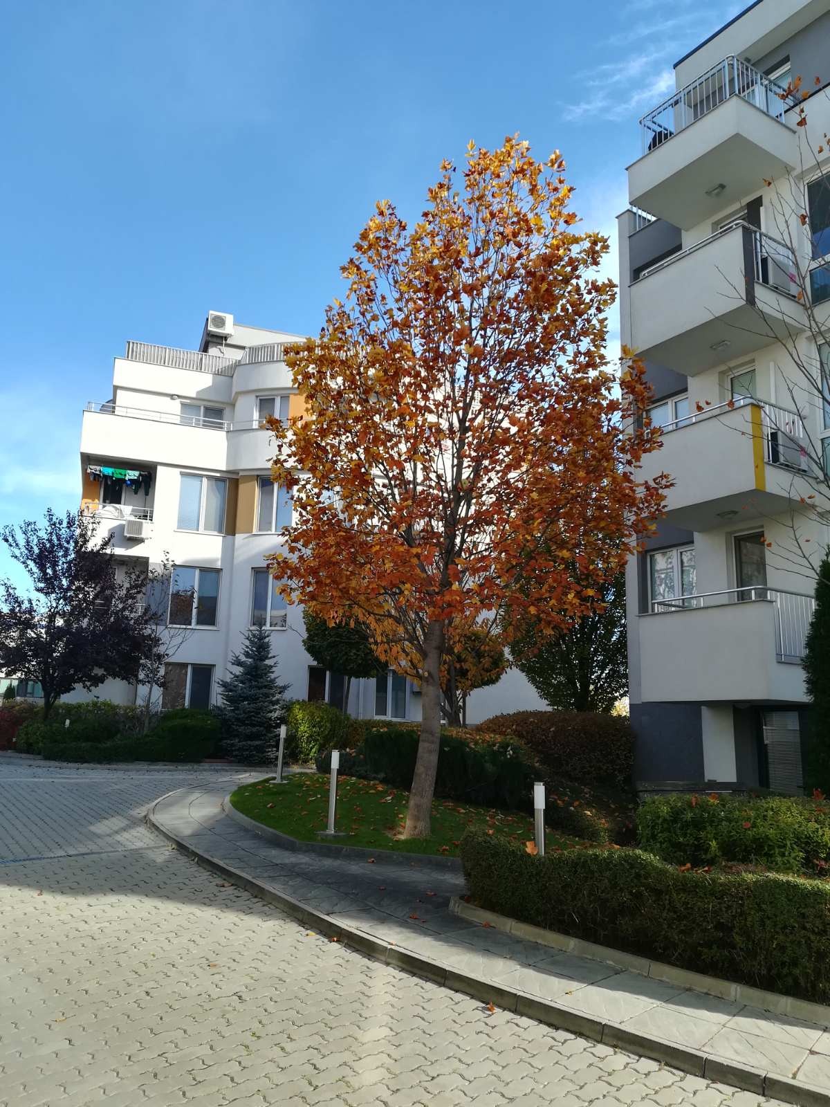 ���� ��� ���� ������, ����� | Imot.bg � ����������� 5