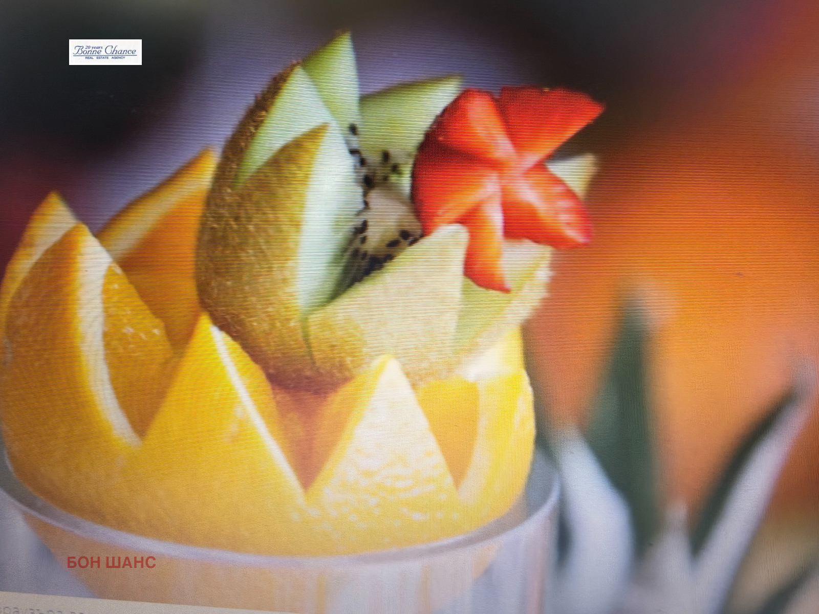 ���� ��� ���� ��������� | Imot.bg � ����������� 4