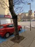 Дава под наем ГАРАЖ, ПАРКОМЯСТО, гр. София, Център, снимка 9
