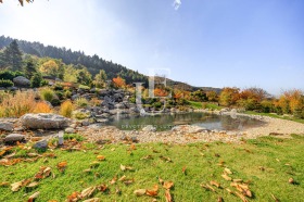 ���� ��� ���� ���� | Imot.bg � ����� ������ 10