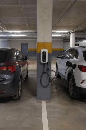 ����� ���� ��� ���� ����������,���� �����, ������� �������-��������