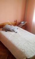 Дава под наем  3-стаен град Пловдив , Кючук Париж , 87 кв.м | 88616389 - изображение [4]