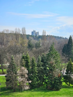 Büro Strelbishte, Sofia 12