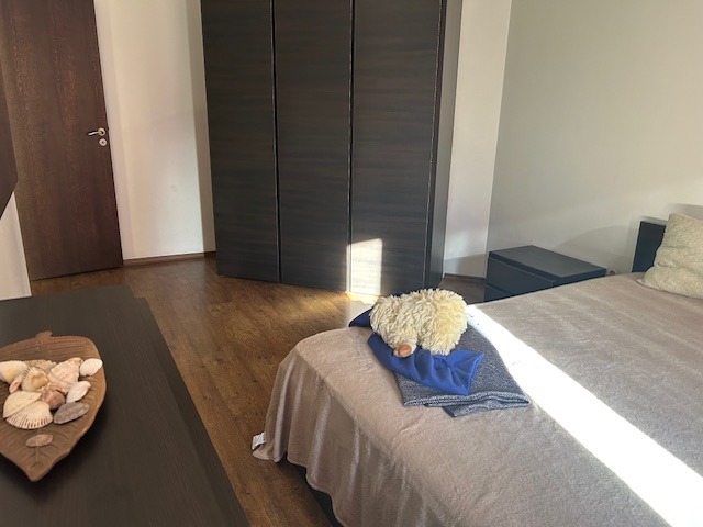 Дава под наем 2-СТАЕН, гр. София, Манастирски ливади, снимка 7 - Апартаменти - 53462833