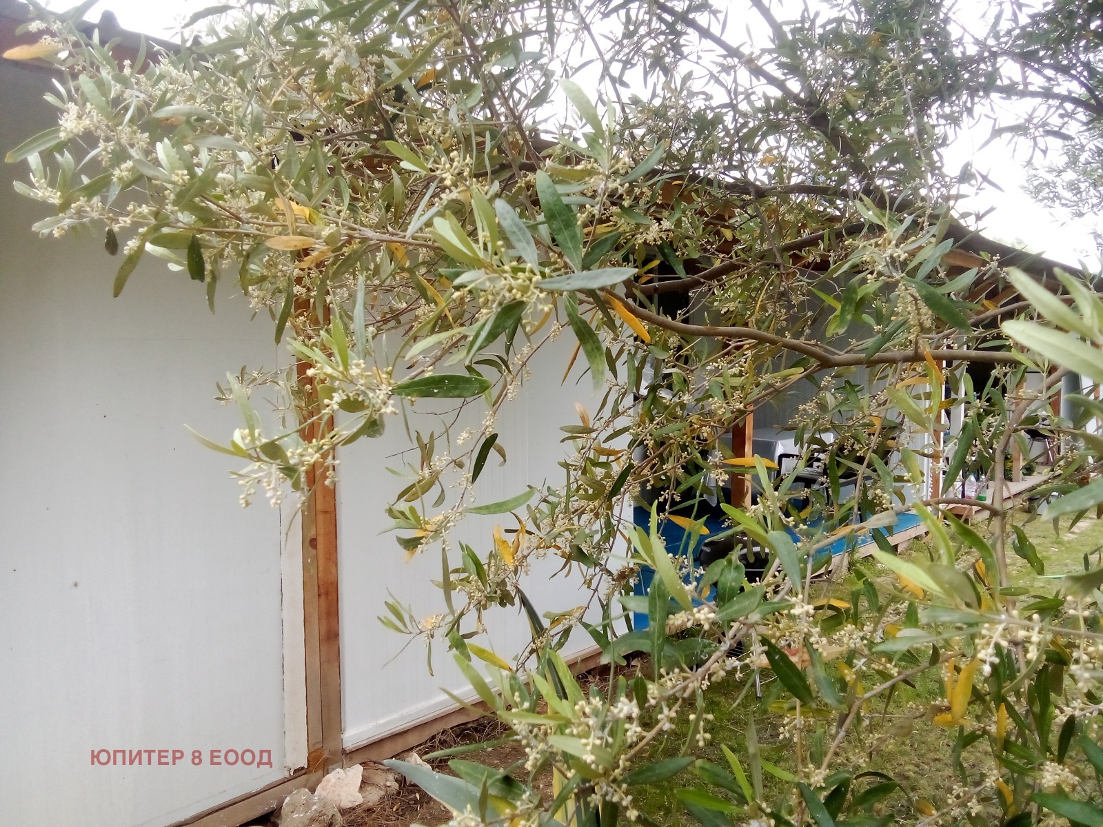 ���� ��� ���� ���� | Imot.bg � ����������� 7