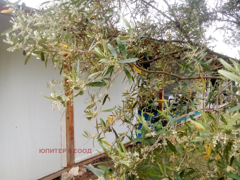 Дава под наем ВИЛА, Извън страната, област Извън страната, снимка 7 - Вили - 52634028