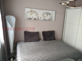 ������ ���� ��� ���� ����