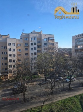 ����� ���� ��� ���� 2-�����,���� ����� ������, ����������