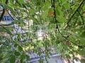 Дава под наем 2-СТАЕН, гр. София, Оборище, снимка 11