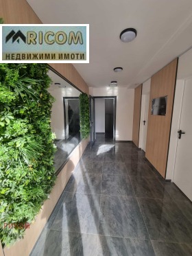 ���� ��� ���� 3-����� | Imot.bg � ����� ������ 13