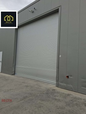 ������ ���� ��� ���� �����