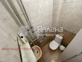 ����� ���� ��� ���� 3-�����,���� �����, �������