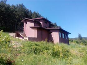 Hus Ralitsa, Pernik 1