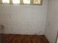 Дава под наем МАГАЗИН, гр. София, Люлин 3, снимка 11