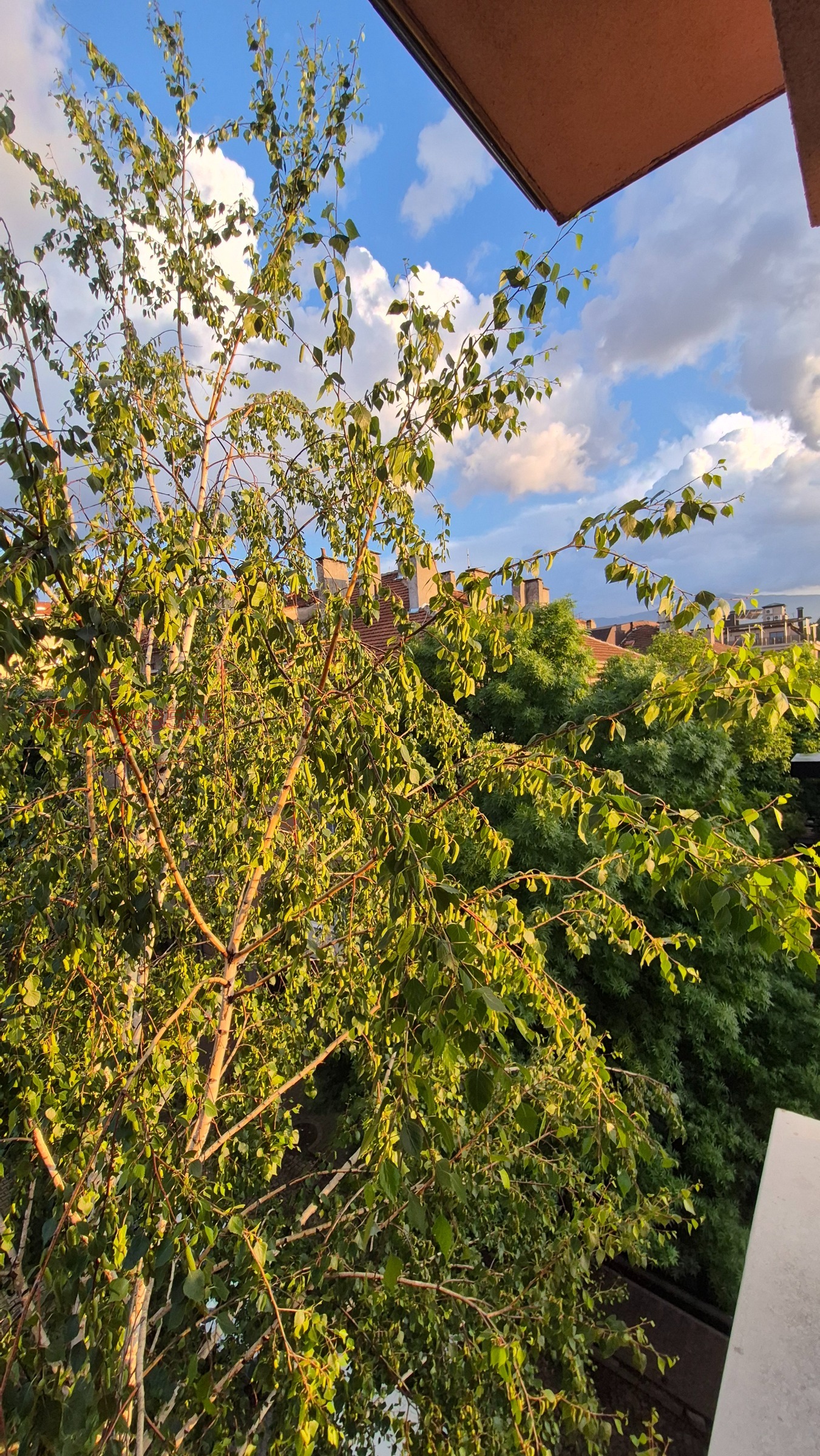 ���� ��� ���� 2-����� | Imot.bg � ����������� 15