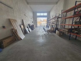 ����� ���� ��� ���� ����. ���������,���� ��������, ���������� ���� - �����